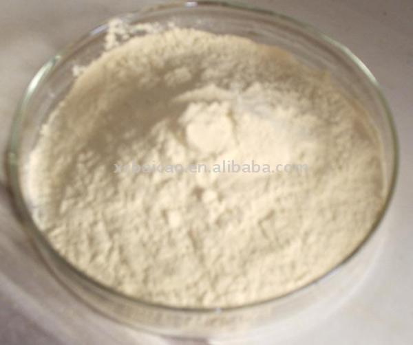 Astragalus Root P.E.