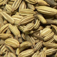 Fennel Seed Extract