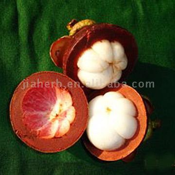 Mangosteen P.E.