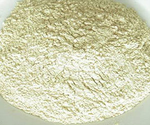 Onion Freeze-dried Powder- Herbal Extracts