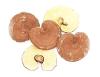 Reishi Mushroom P.E.
