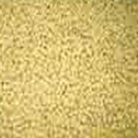 Soy Isoflavone Extract- Herbal Extracts