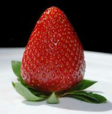 Strawberry Freeze-dried Powder