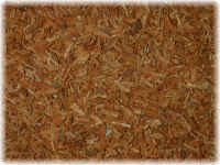 Yohimbe Bark Extract - Herbal Extracts