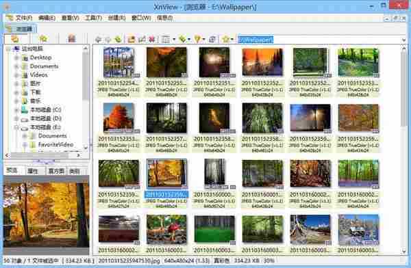 XnView v2.39 正式版所有版本及注册机