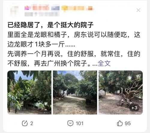 停止骑行的徐云,过上了自己的隐居生活